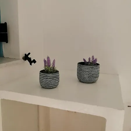 Apartment Ariadni's Nest Naxos City